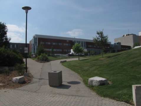 Path to co-op building and library